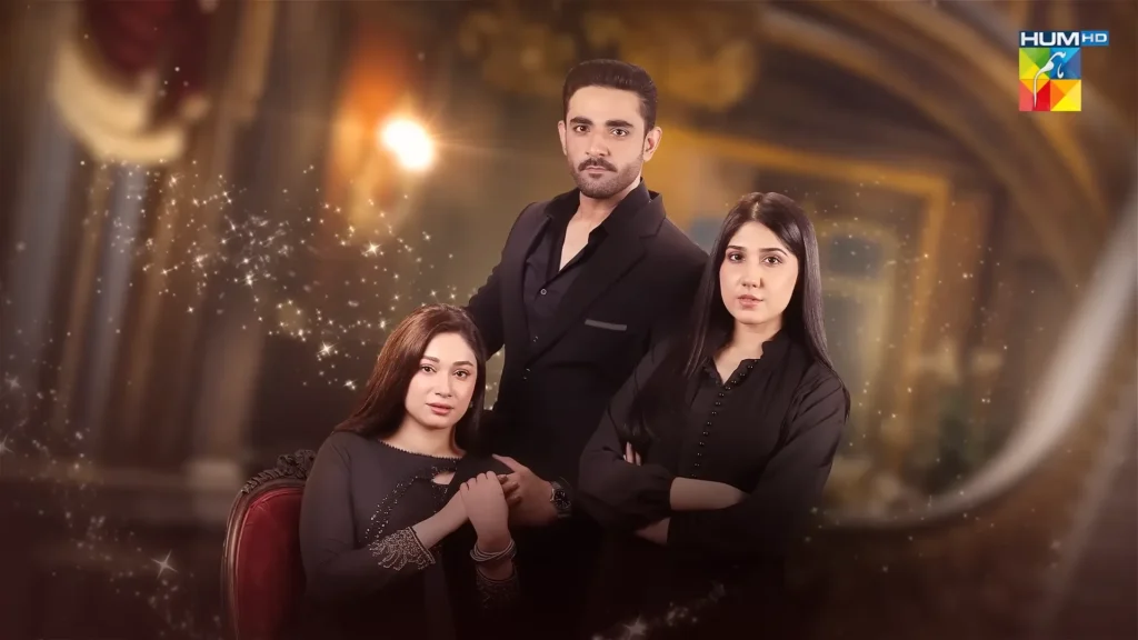HUM TV Drama Laadli Cast