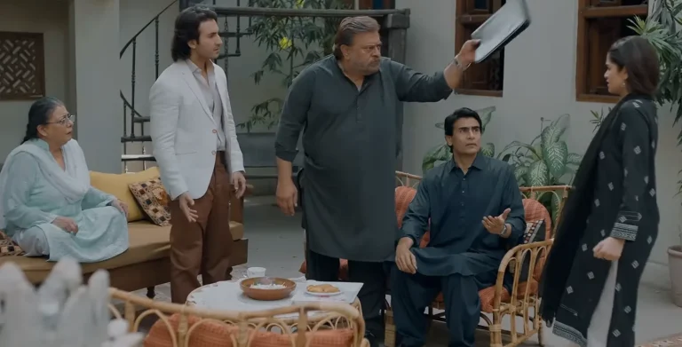 Meri Uraan Cast