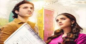 Shahroz Sabzwari and Anika Zulfikar New Drama
