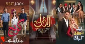 Upcoming HUM TV Dramas 2025