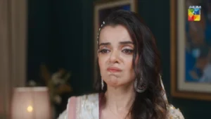 Neeli Kothi - Gallery image 4