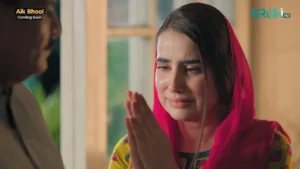 Aik Bhool - Gallery image 16