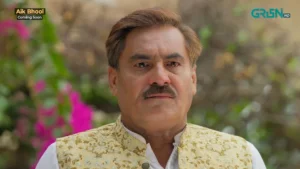 Aik Bhool - Gallery image 18