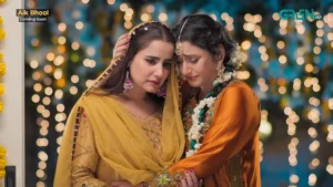 Aik Bhool - Gallery image 19