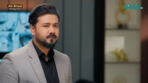 Aik Bhool - Gallery image 20