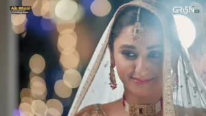 Aik Bhool - Gallery image 10