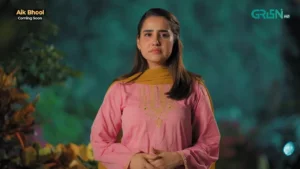 Aik Bhool - Gallery image 27