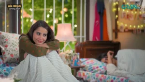 Aik Bhool - Gallery image 6