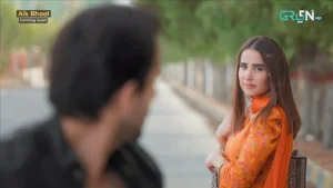 Aik Bhool - Gallery image 7