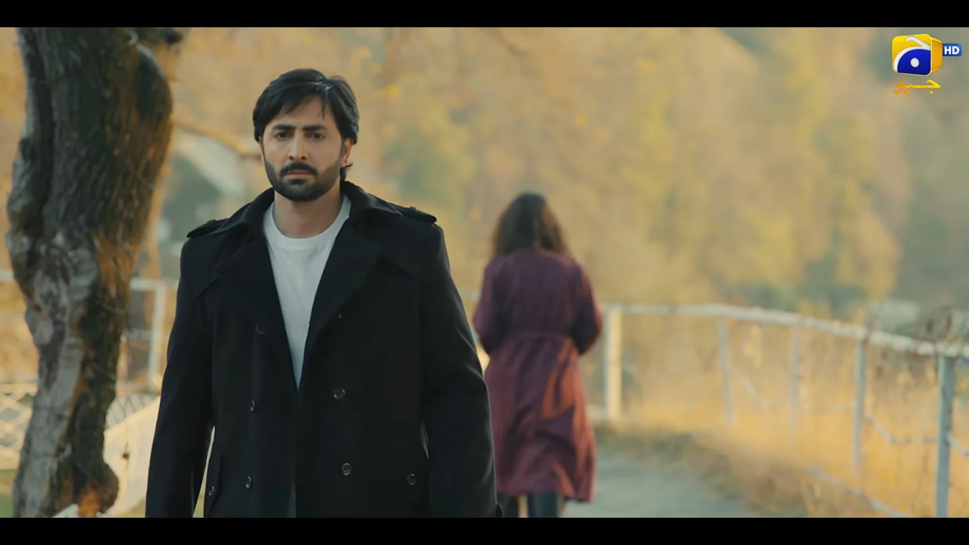 Humrahi drama release date