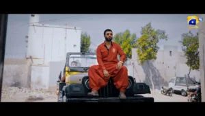 Sanwal Yaar Piya - Gallery image 22