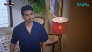 Visaal E Ishq - Gallery image 9