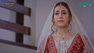 Visaal E Ishq - Gallery image 10