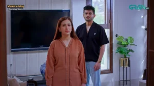 Visaal E Ishq - Gallery image 11