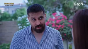 Visaal E Ishq - Gallery image 13