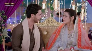 Visaal E Ishq - Gallery image 17