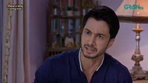 Visaal E Ishq - Gallery image 19