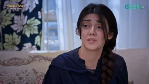 Visaal E Ishq - Gallery image 20