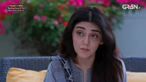 Visaal E Ishq - Gallery image 22