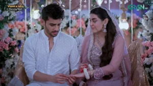 Visaal E Ishq - Gallery image 3