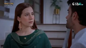 Visaal E Ishq - Gallery image 7