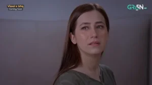 Visaal E Ishq - Gallery image 8