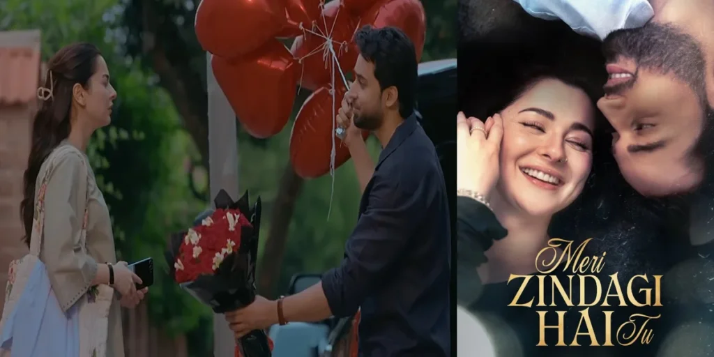 ARY Digital Drama Meri Zindagi Hai Tu Cast