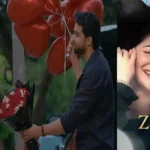 ARY Digital Drama Meri Zindagi Hai Tu Cast