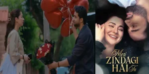 ARY Digital Drama Meri Zindagi Hai Tu Cast