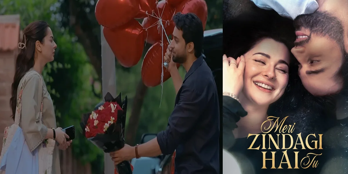 ARY Digital Drama Meri Zindagi Hai Tu Cast