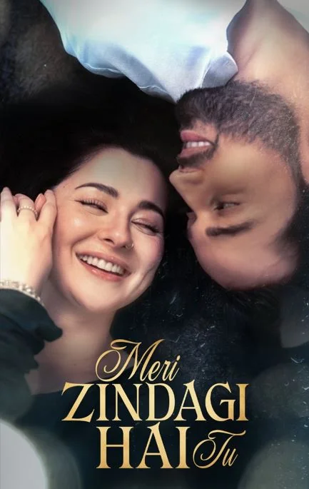 Bilal Abbas New Drama Meri Zindagi Hai Tu story