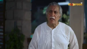 Dorr - Gallery image 14