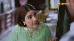 Dorr - Gallery image 15