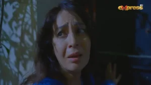 Dorr - Gallery image 10