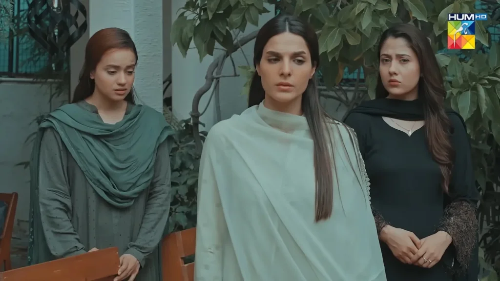 HUM TV Drama Meri Bahuain Cast