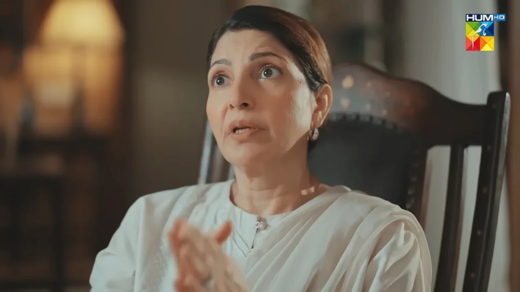 HUM TV Drama Meri Bahuain Cast