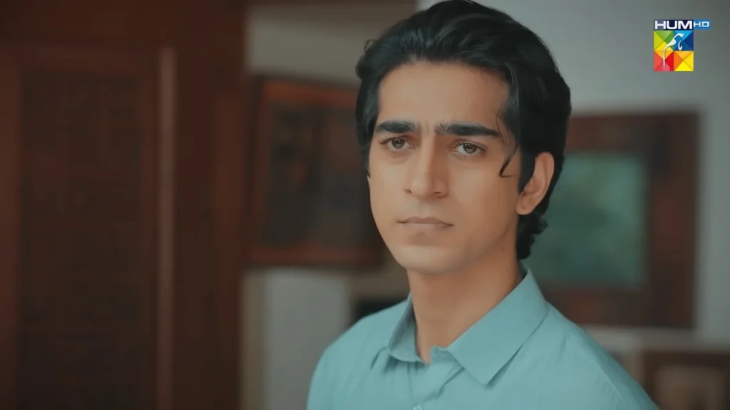 HUM TV Drama Meri Bahuain Cast