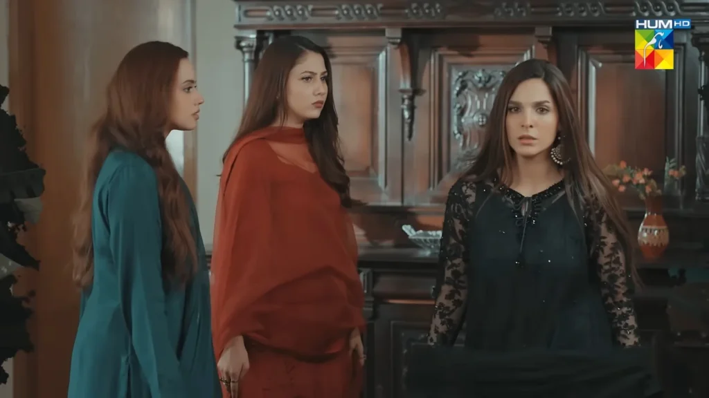 HUM TV Drama Meri Bahuain Cast