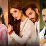 10 Pakistani Dramas of 2025 Negative Reviews