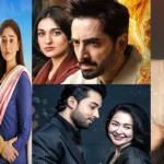 List of Best Pakistani Dramas of 2025