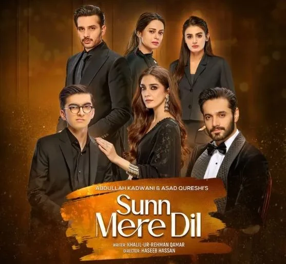 Negative Reviews Pakistani Dramas of 2025