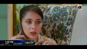 Shikanja - Gallery image 11