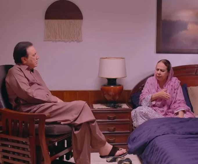 List of Best Pakistani Dramas 2025 Couples