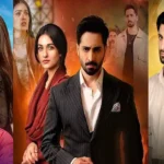 List of Most Watched Pakistani Dramas of 2025