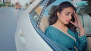 Rahguzar - Gallery image 3