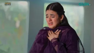 Rahguzar - Gallery image 6