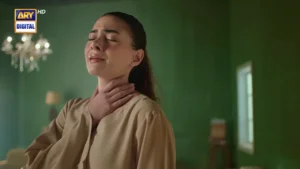 Sazawaar - Gallery image 4