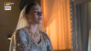 Sazawaar - Gallery image 10