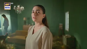 Sazawaar - Gallery image 7