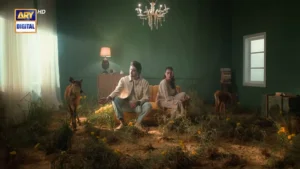 Sazawaar - Gallery image 5